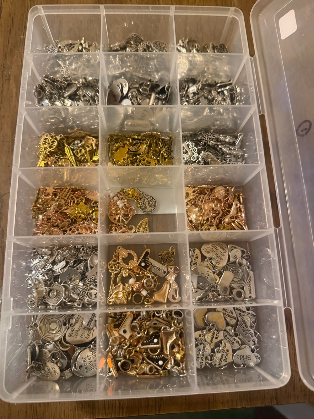 Clear Multi-Compartment Jewelry Organizer with Silver, Gold & Rose Gold Accents